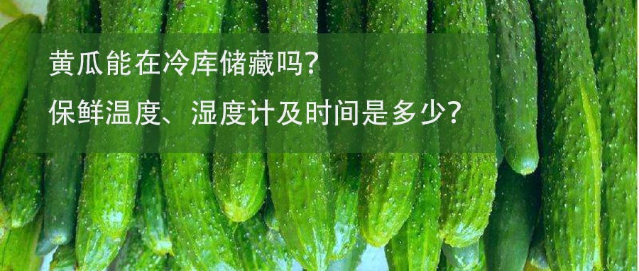 黃瓜保鮮冷庫保鮮溫度、濕度計及時間介紹